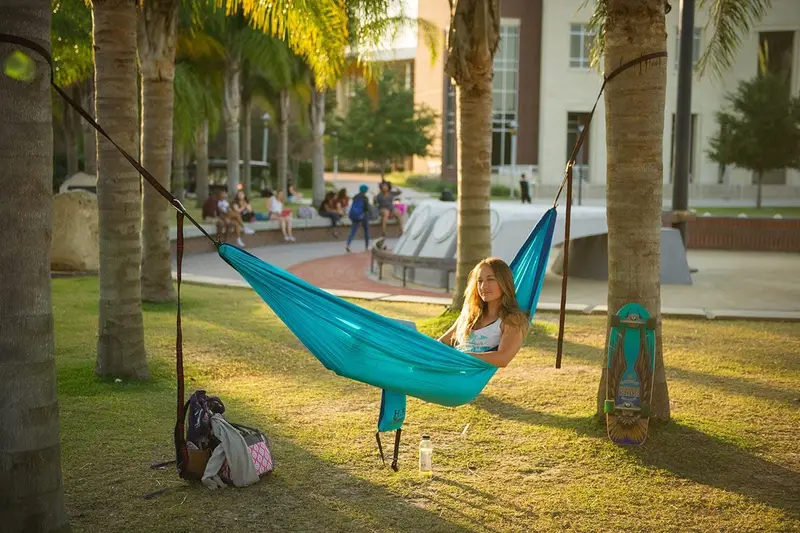 Campus lawn and outdoor relaxation space