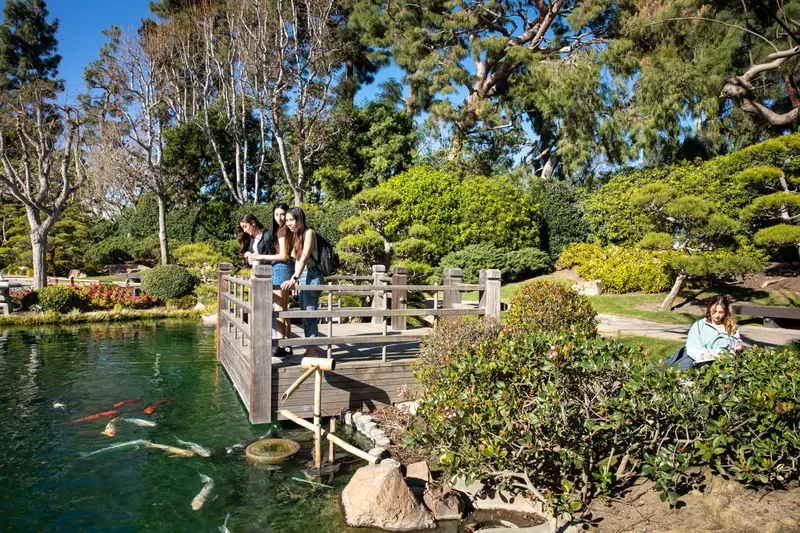 Campus garden and pond-side walkway