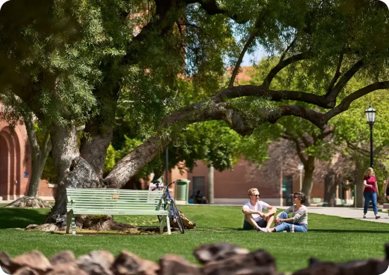 Campus green and shaded gathering space