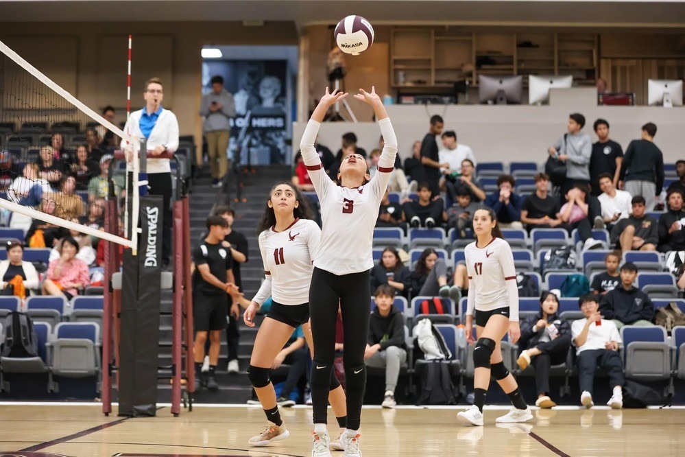 Volleyball match in the school athletics gallery
