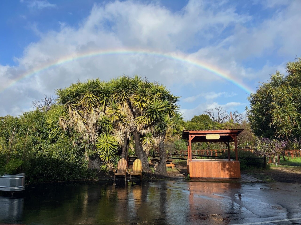 Outdoor school grounds after rain