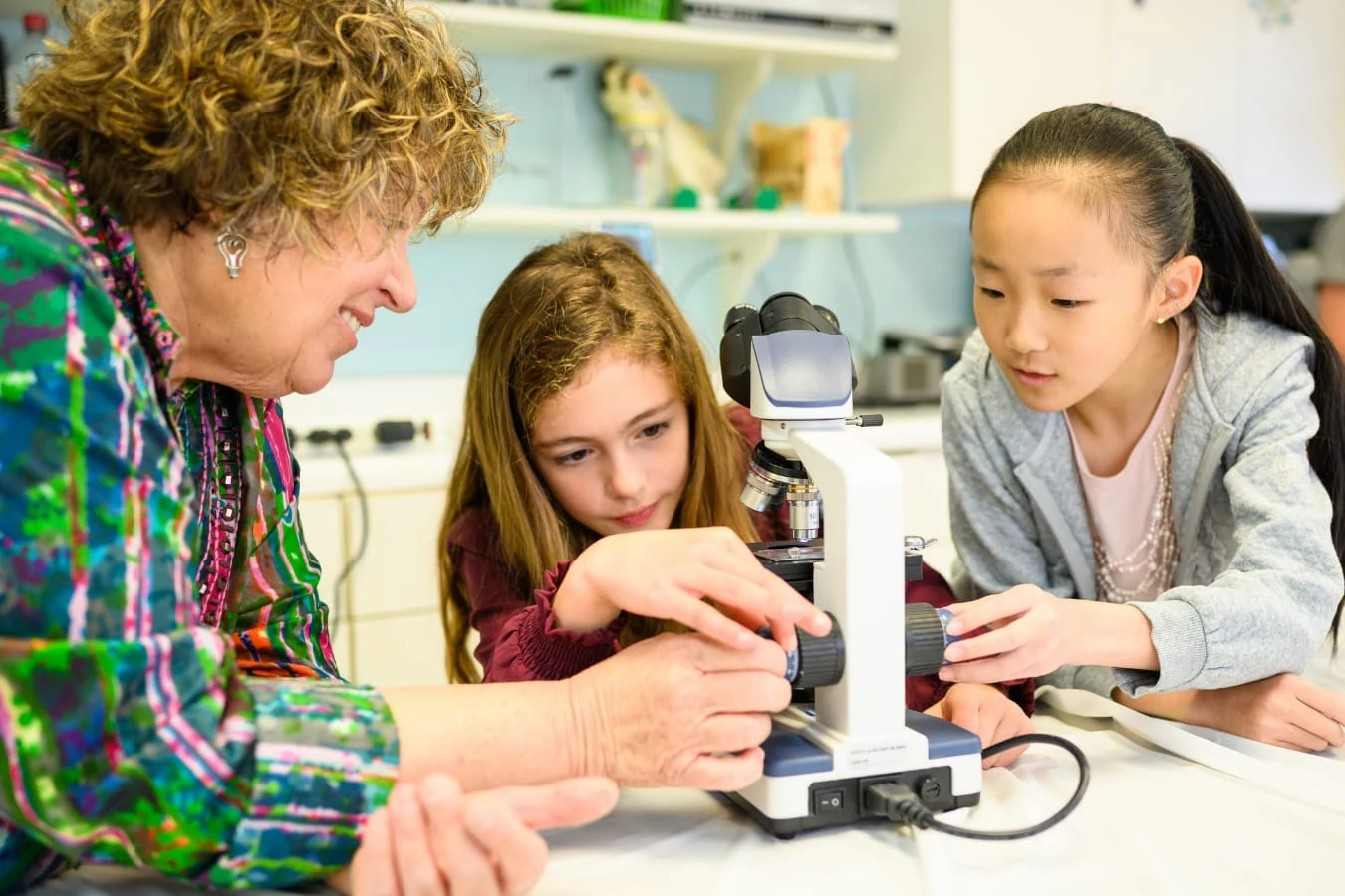 Teacher-guided microscope work