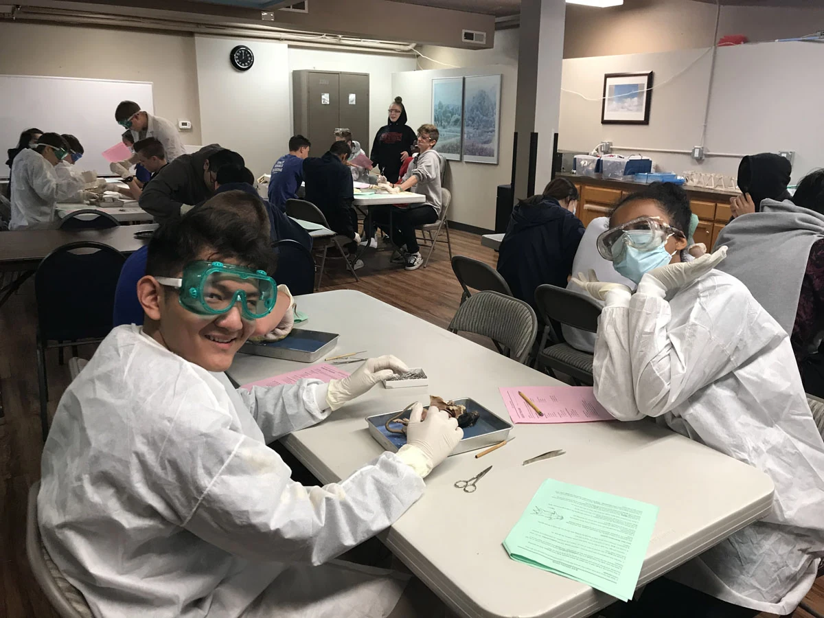 Science laboratory work with protective eyewear