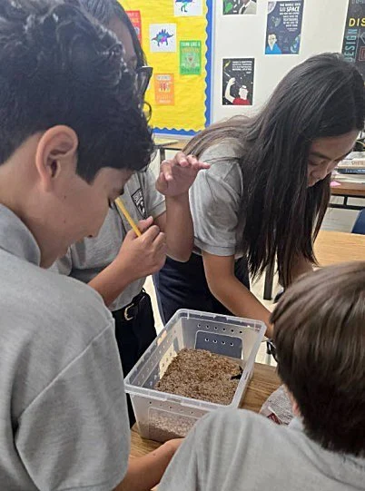Small-group observation and hands-on activity