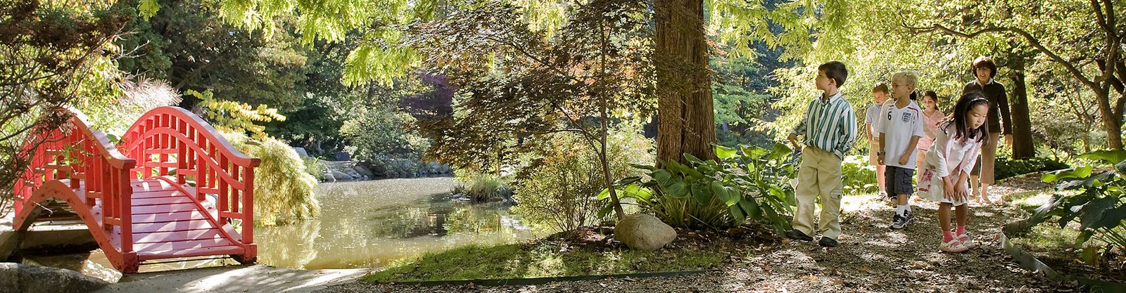 Garden path and red bridge