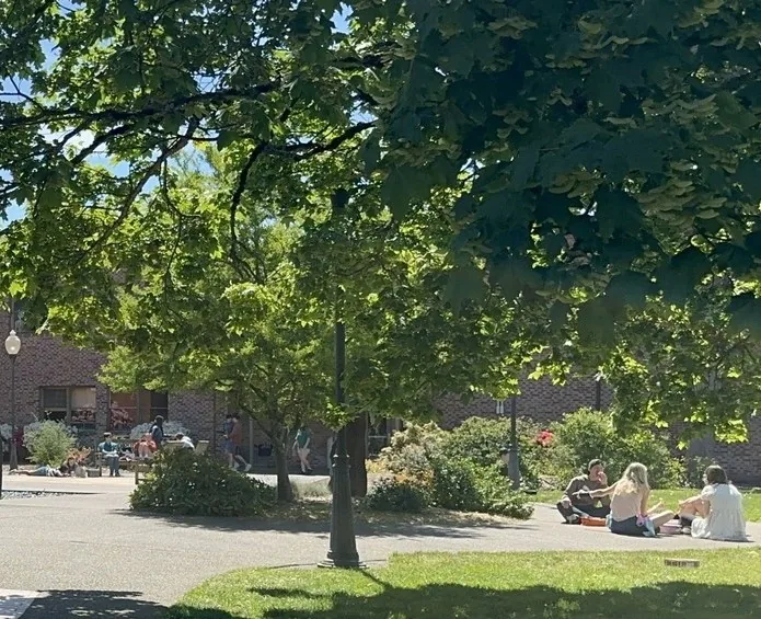 Campus courtyard