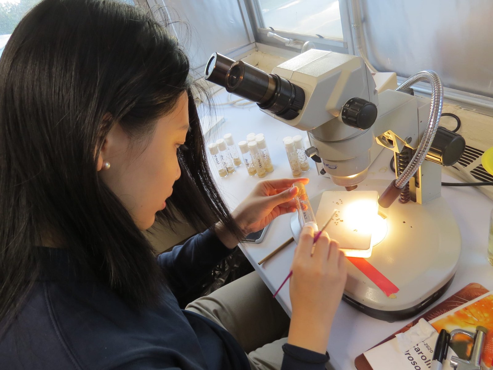 Microscope study
