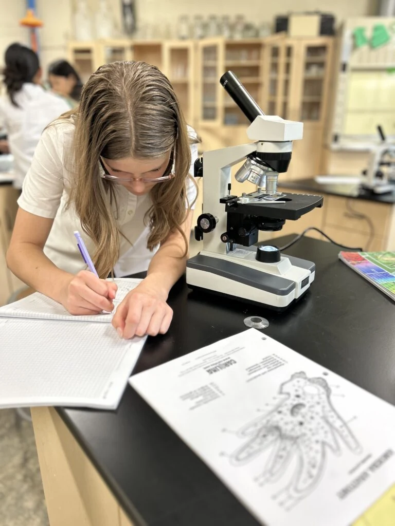 Microscope observation and note-taking in science