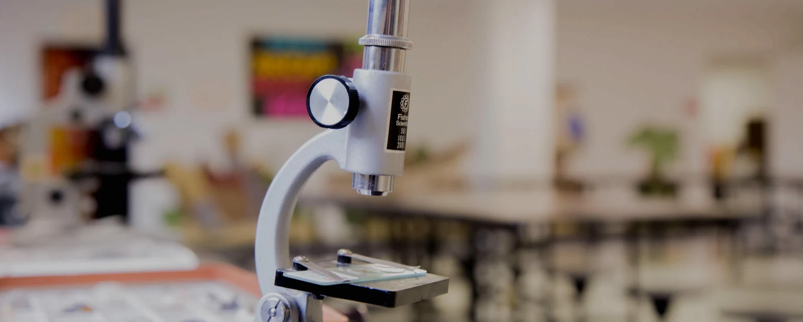 A microscope in the science classroom