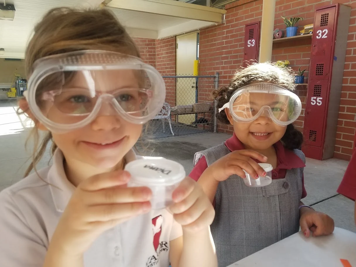 Observation and experimentation in science