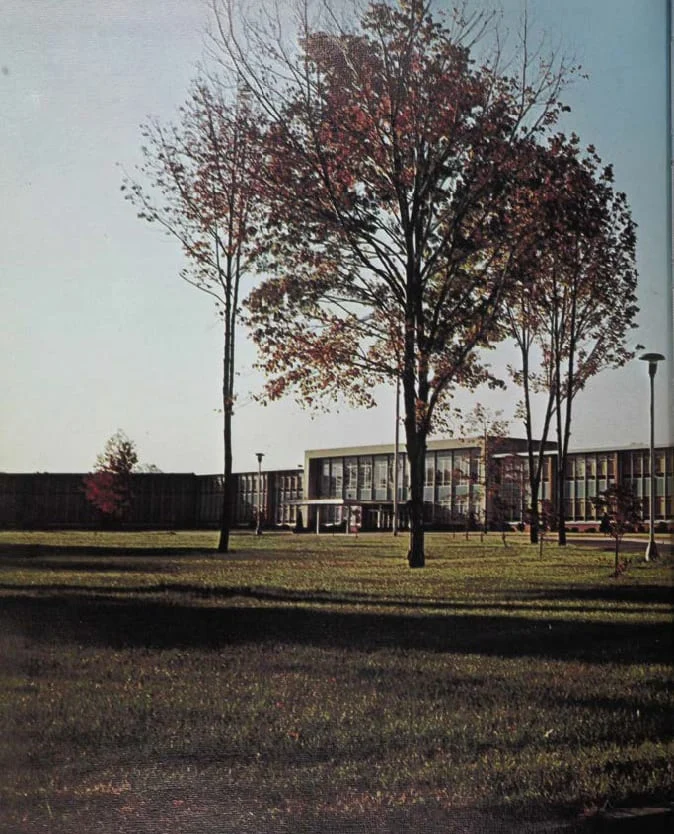 Trees and open space on campus