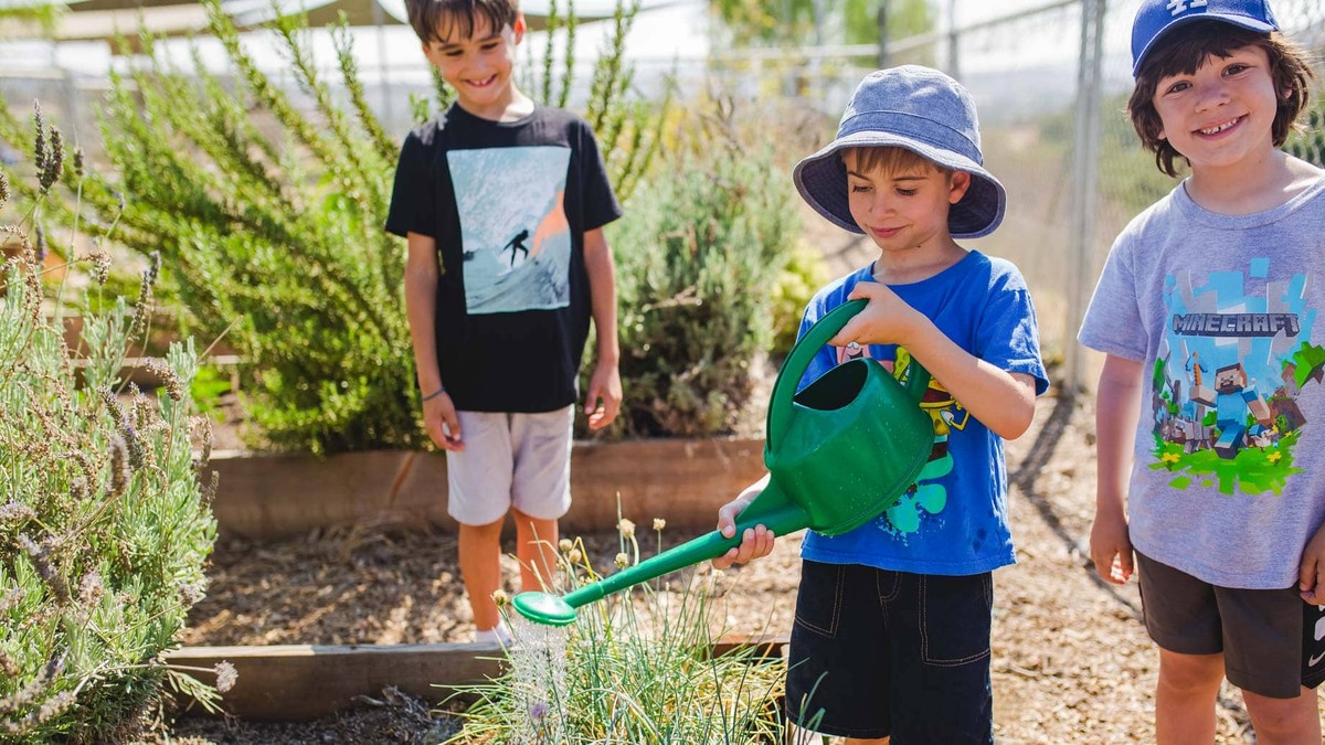 Past Camp Kinneret activity: watering plants in the greenhouse