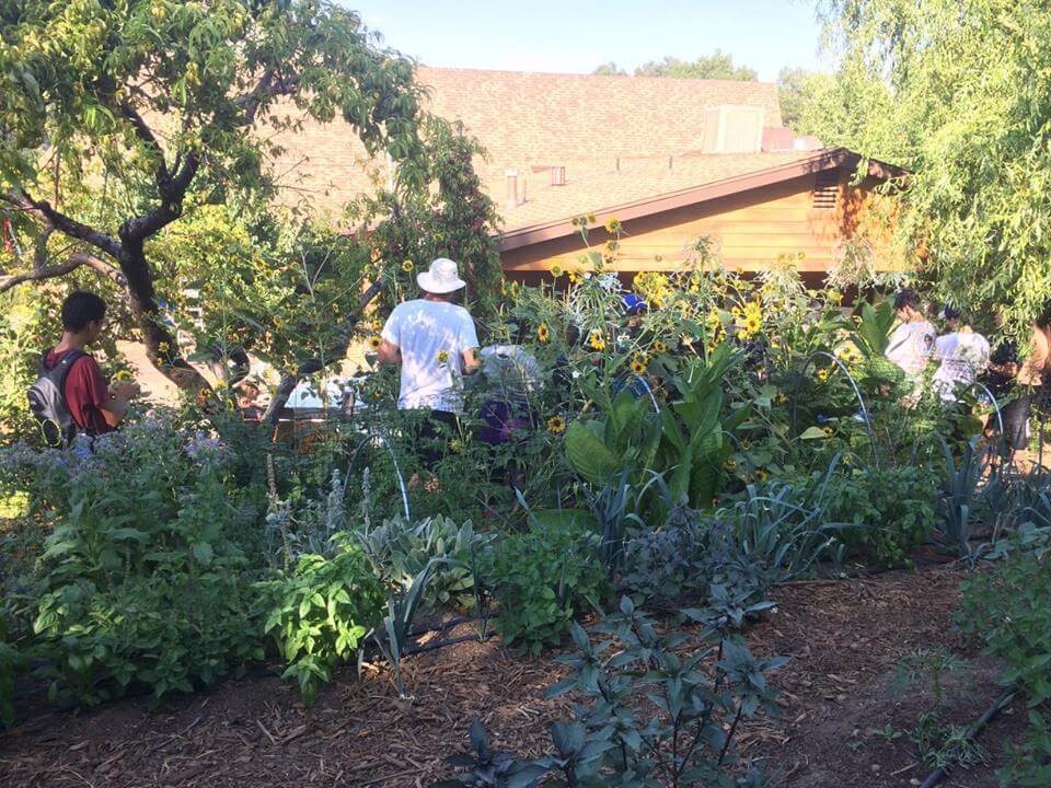 A group in the camp garden