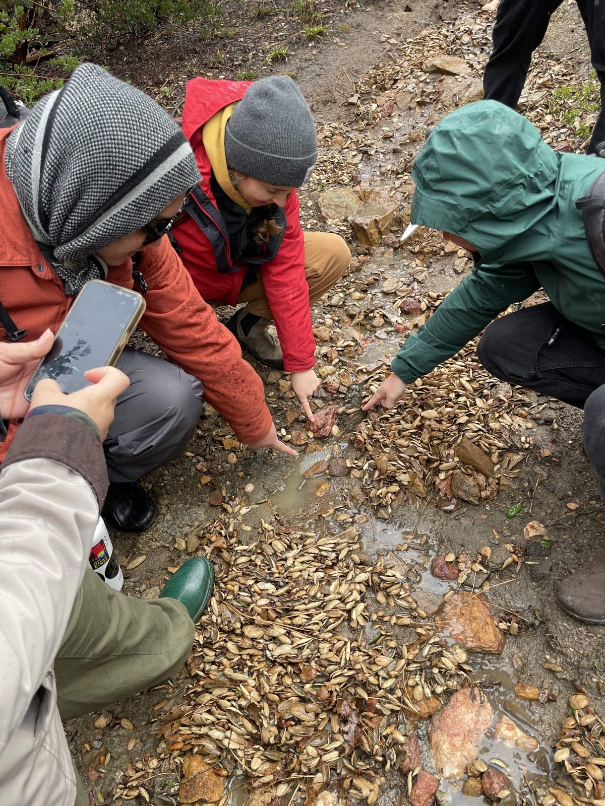 Official outdoor-education photo: a group examining natural materials