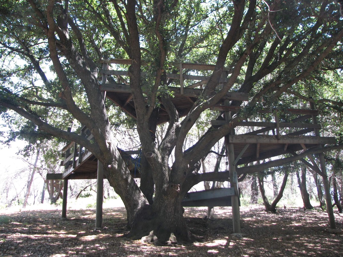 Treehouse and woodland exploration space
