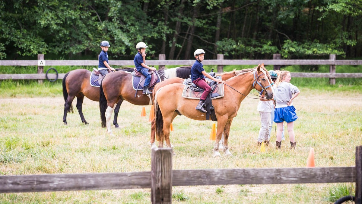 Past equestrian activity: a riding group in the paddock