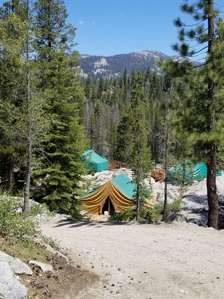 Gold Arrow Camp: tent accommodation among the trees, pictured during a 2019 staff-training visit.