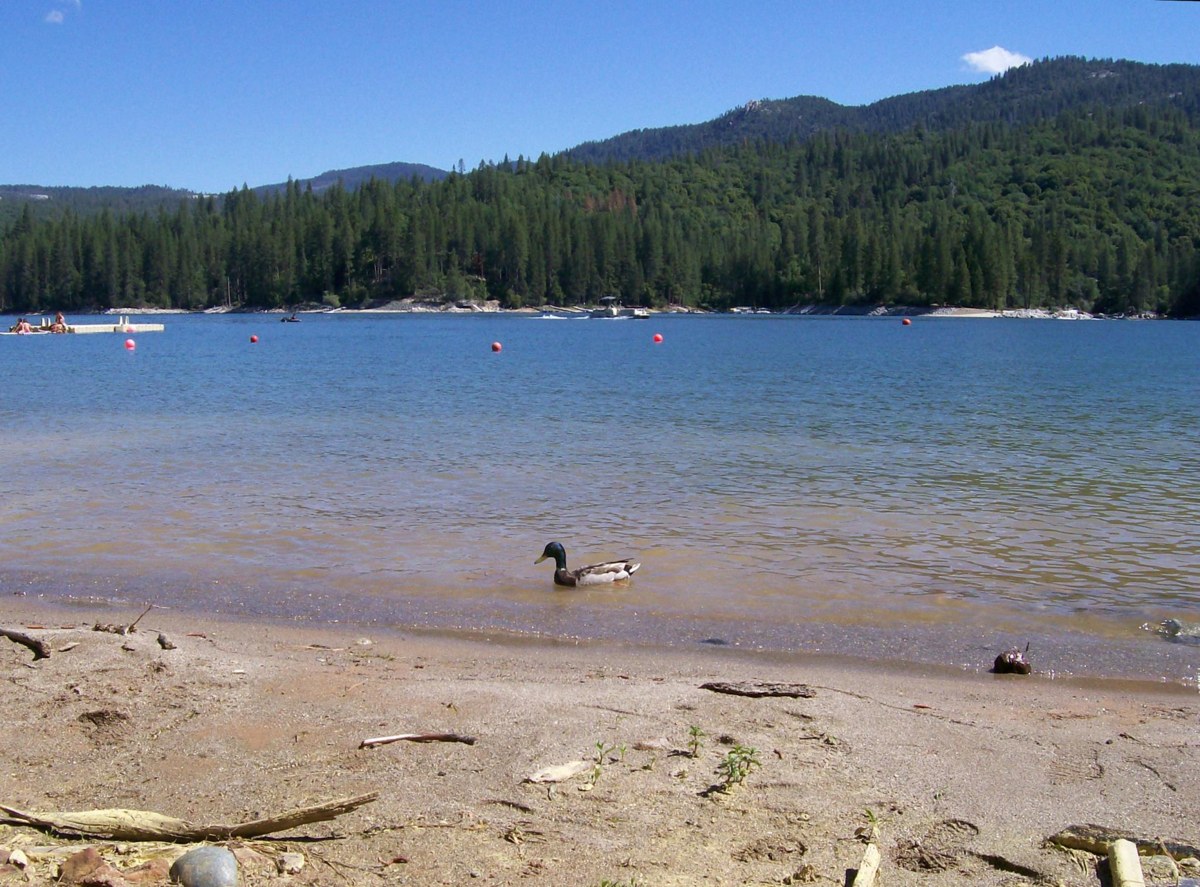 A lakefront and swimming platform photographed during Family Camp in 2010.