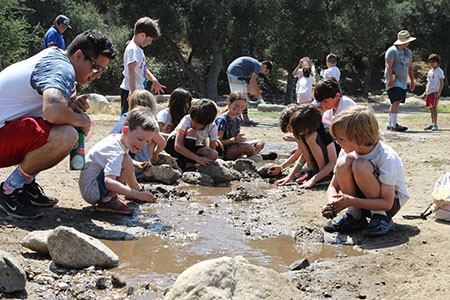 Past Day Camp: group exploring and building beside a stream