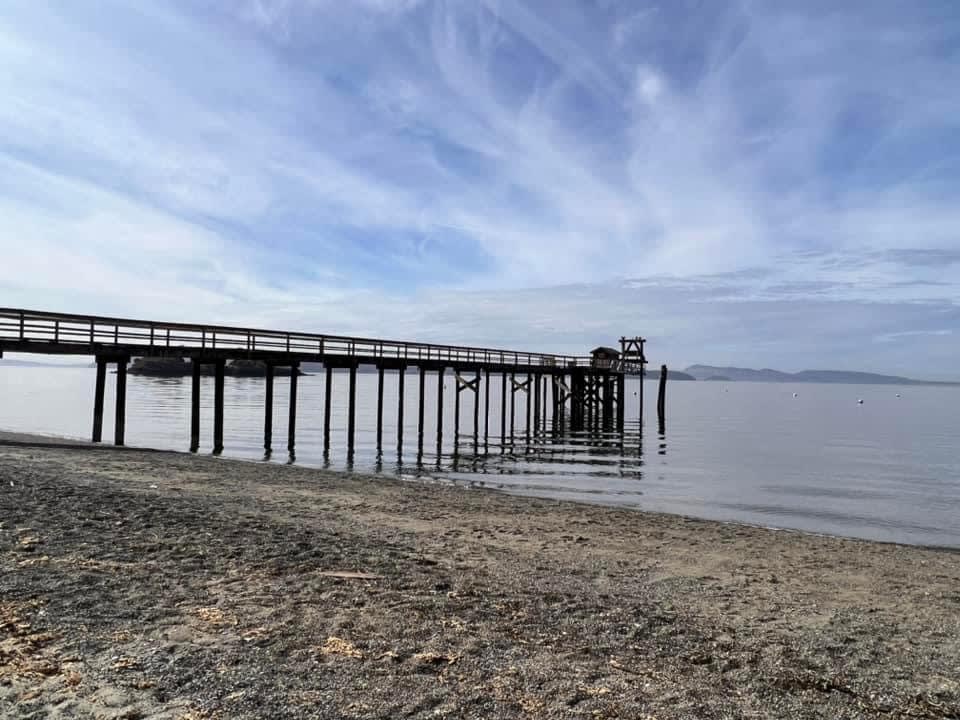 2023 school-trip archive: Camp Orkila shoreline and wooden pier.