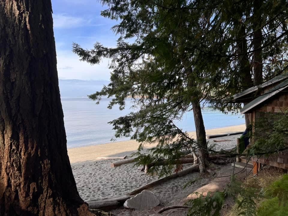 2023 school-trip archive: a view through the trees toward the beach at Camp Orkila.