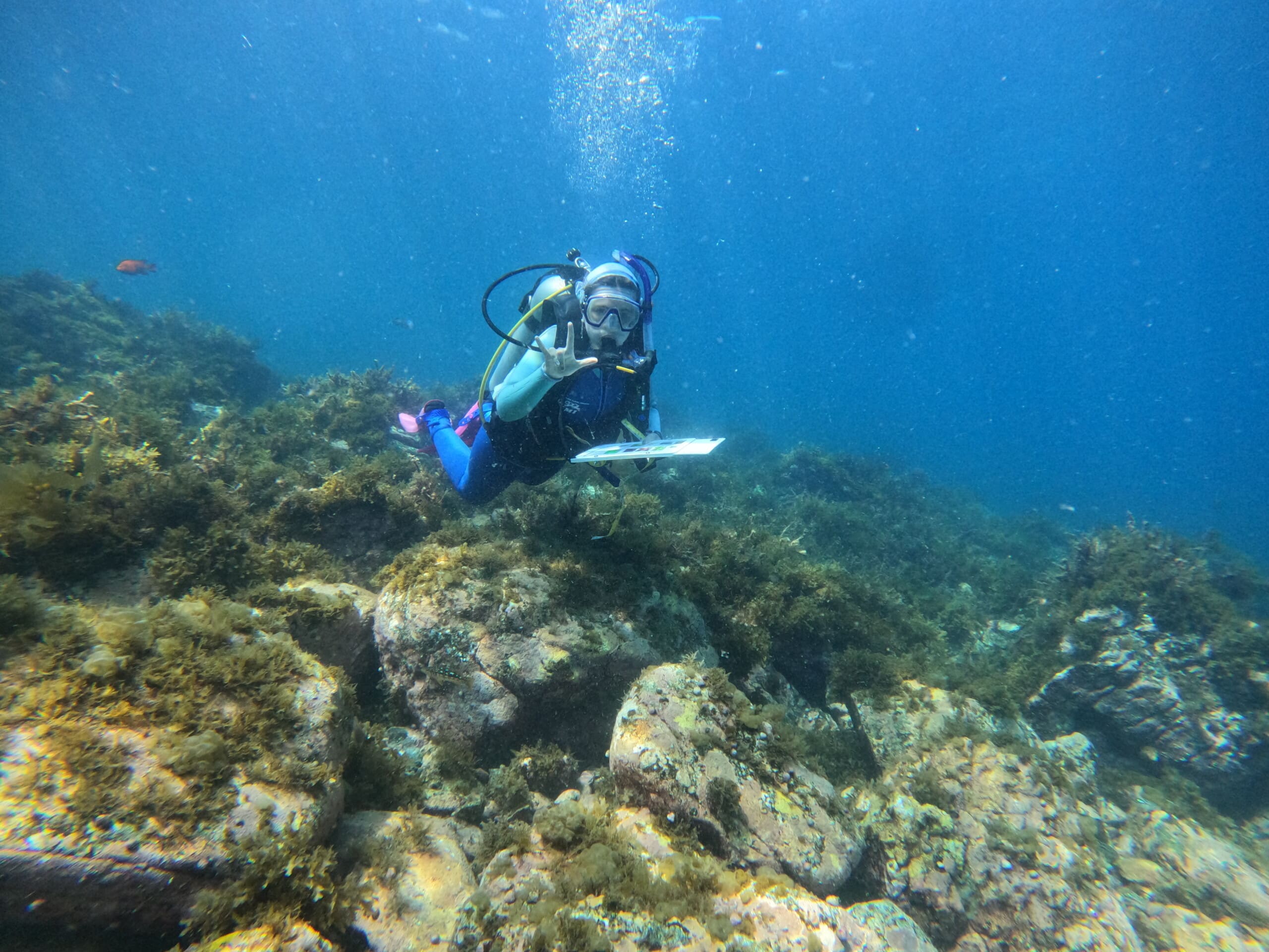 Past specialty diving: underwater observation and recording
