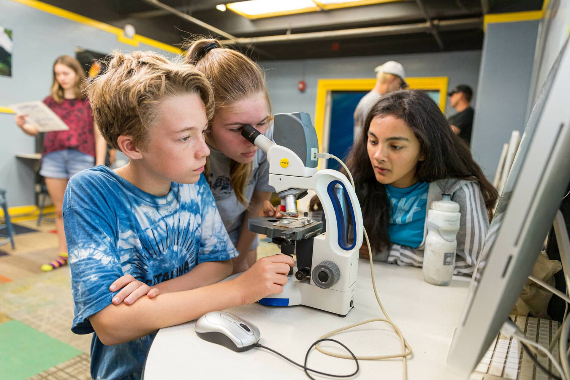 Plankton lab: learning together at the microscope