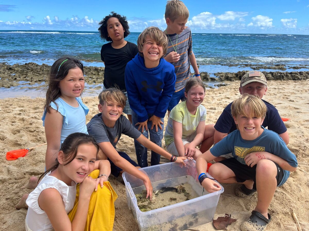 A group observation activity on the beach
