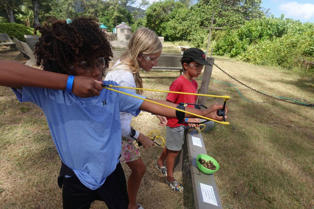 An outdoor target game