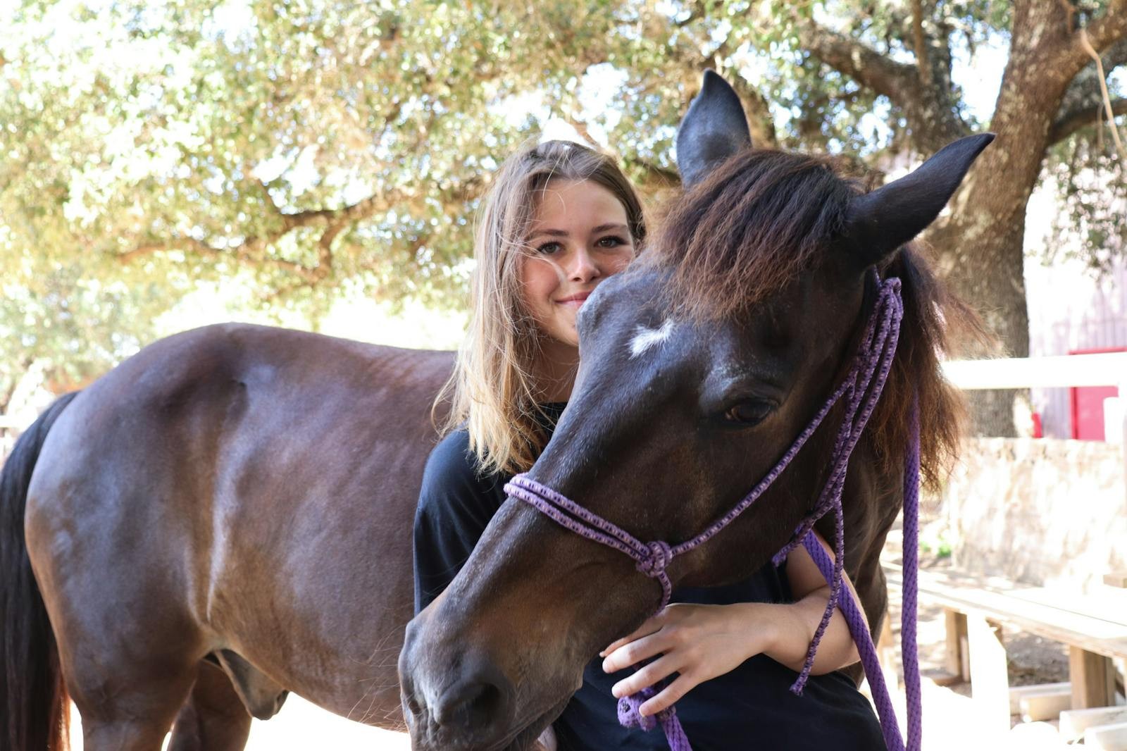 A camper stands beside a horse in the shade