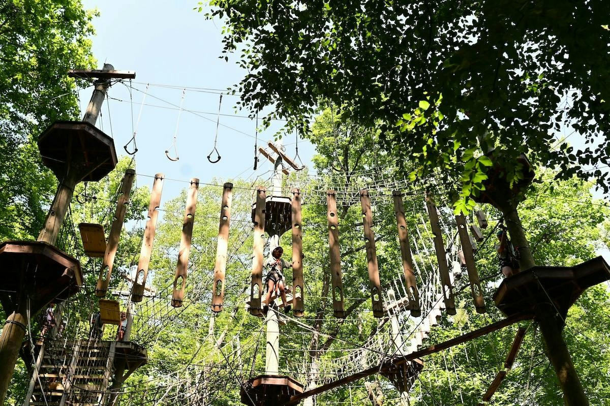 Campers navigate an elevated ropes course among the trees