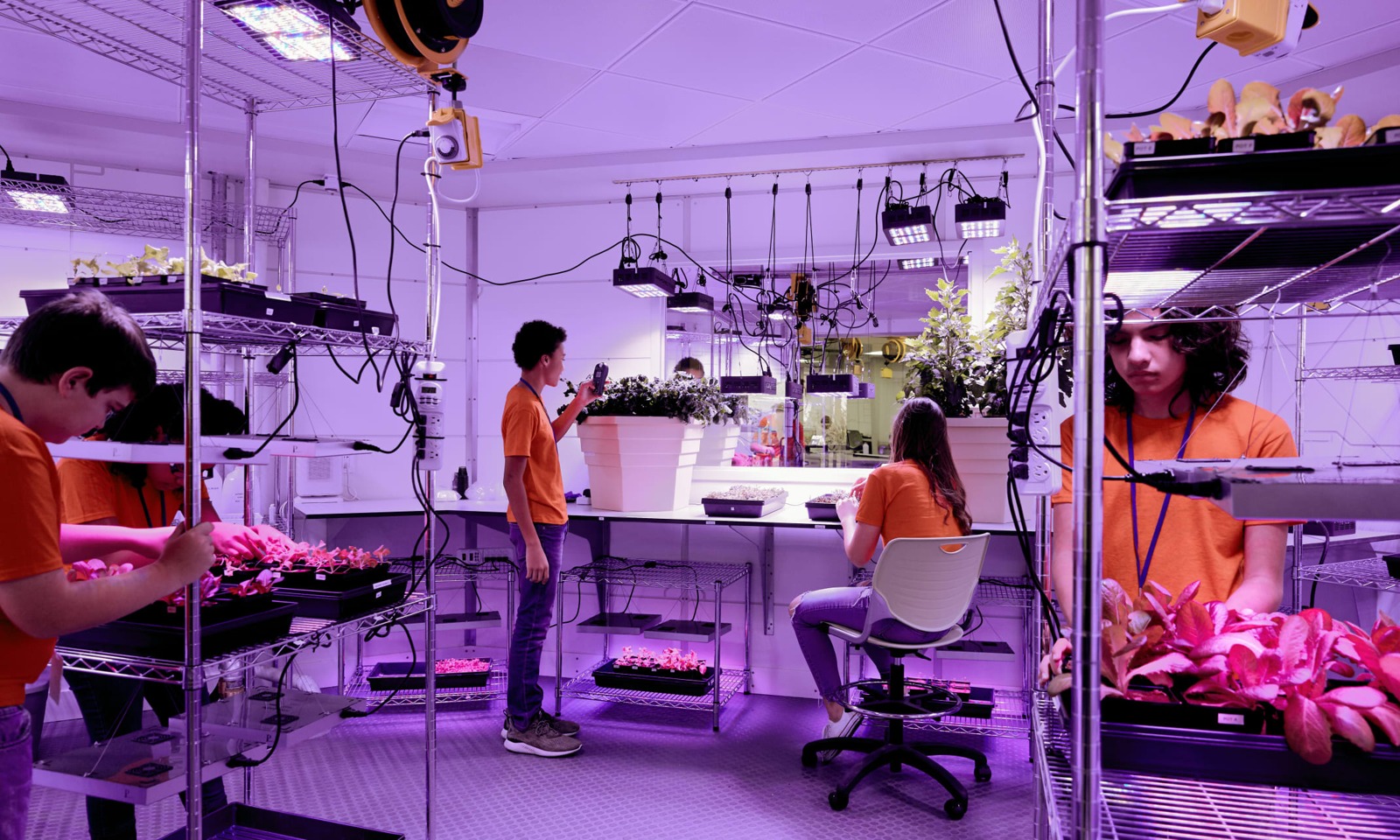 Learning activity in the visitor-complex plant laboratory