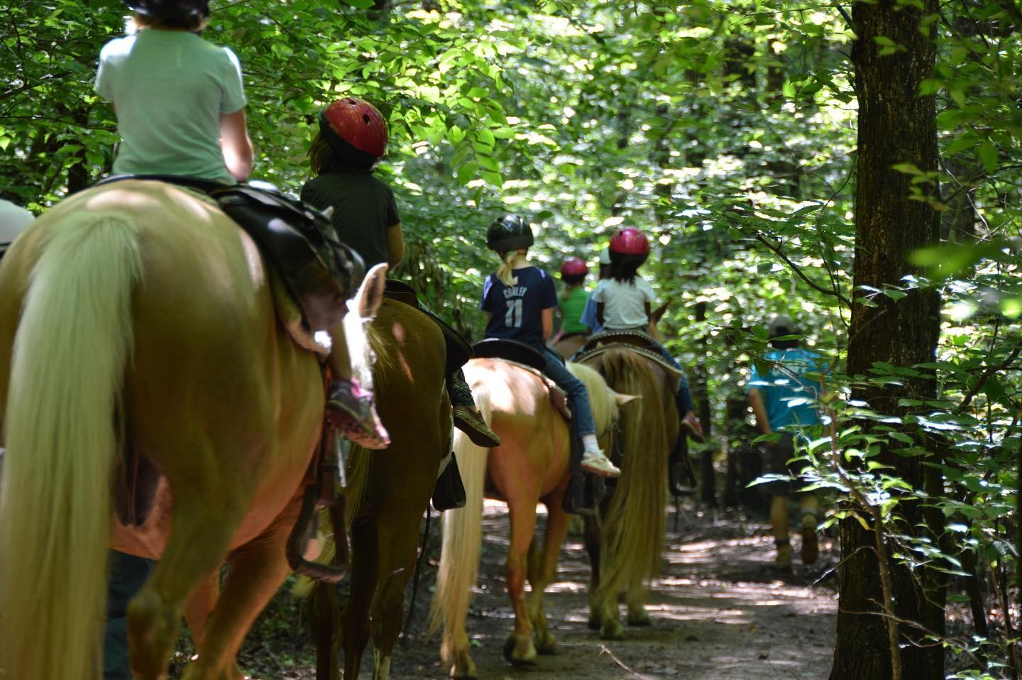Helmeted riders follow a wooded trail on horseback