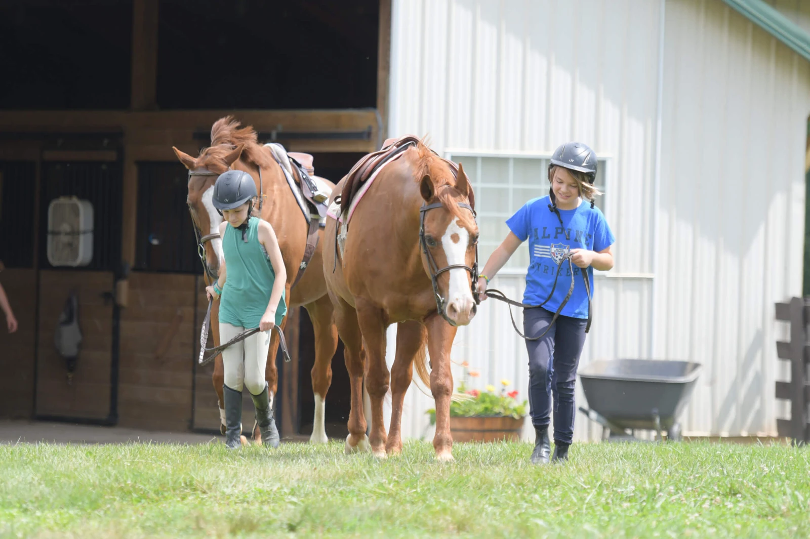 Campers lead saddled horses outside the stables