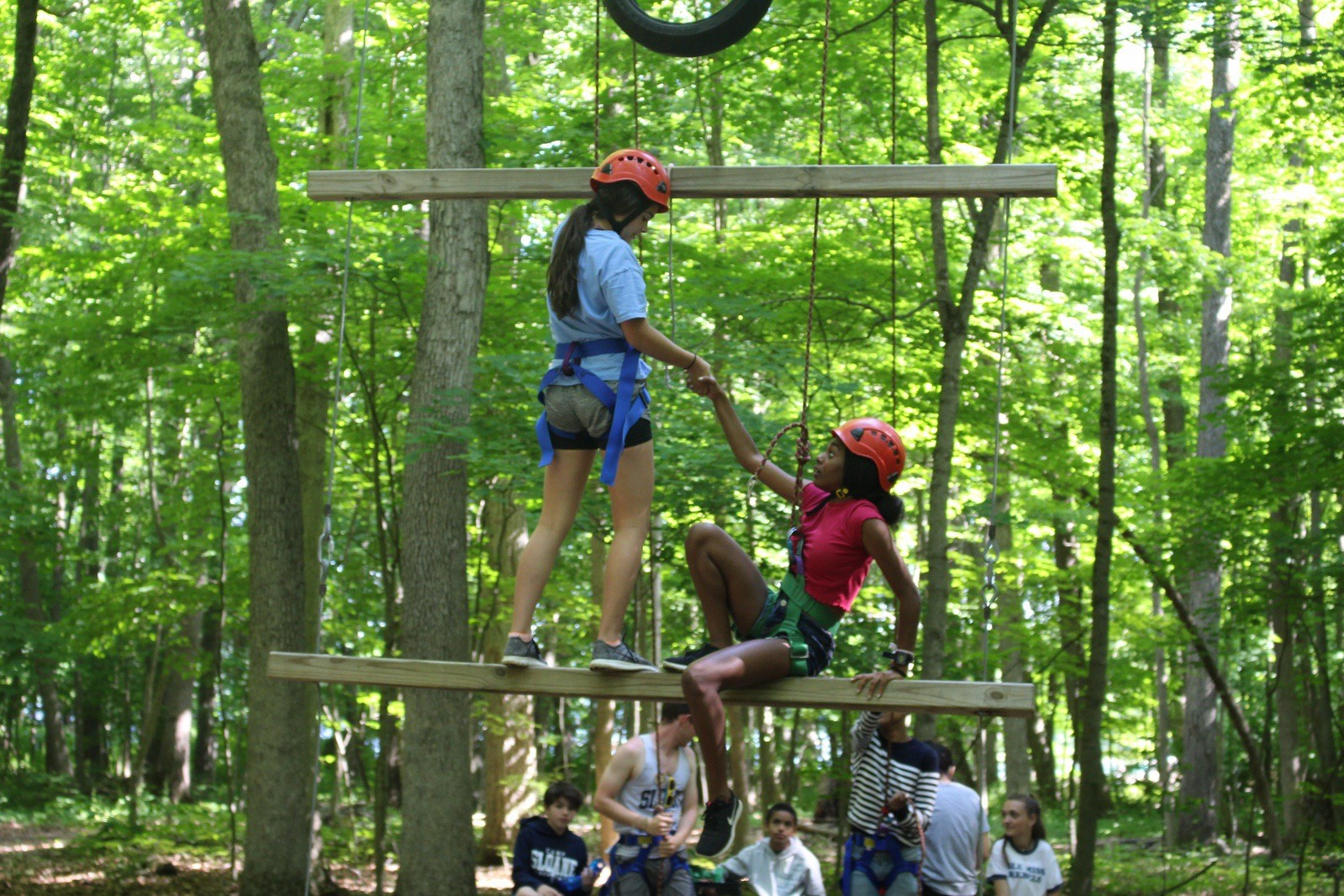 Campers on a high-ropes challenge in the woods