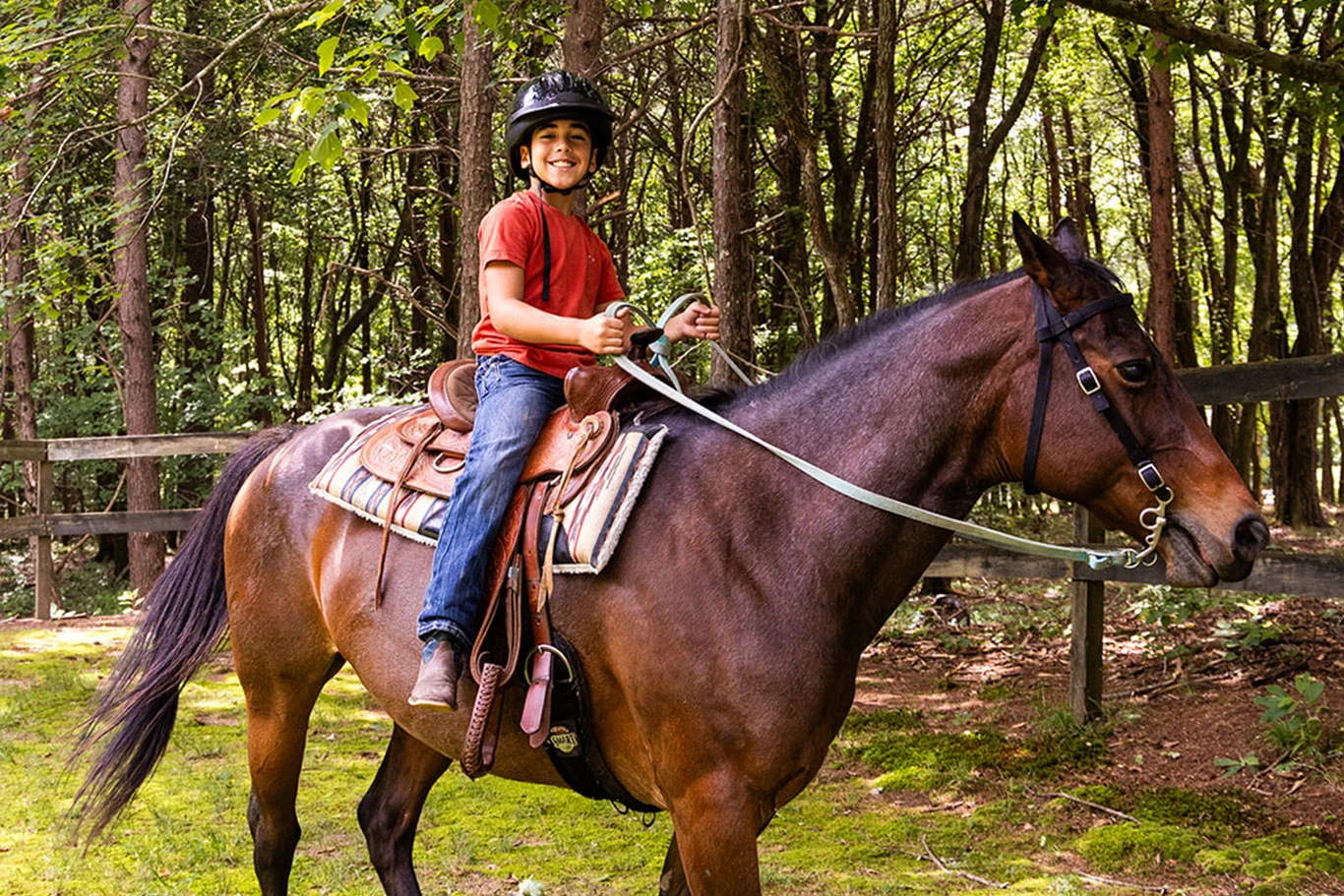 A helmeted camper rides a horse beside woodland