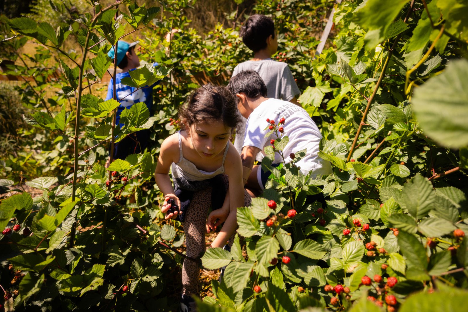 Campers explore a leafy trail