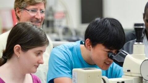 Research guidance in a Samueli engineering laboratory