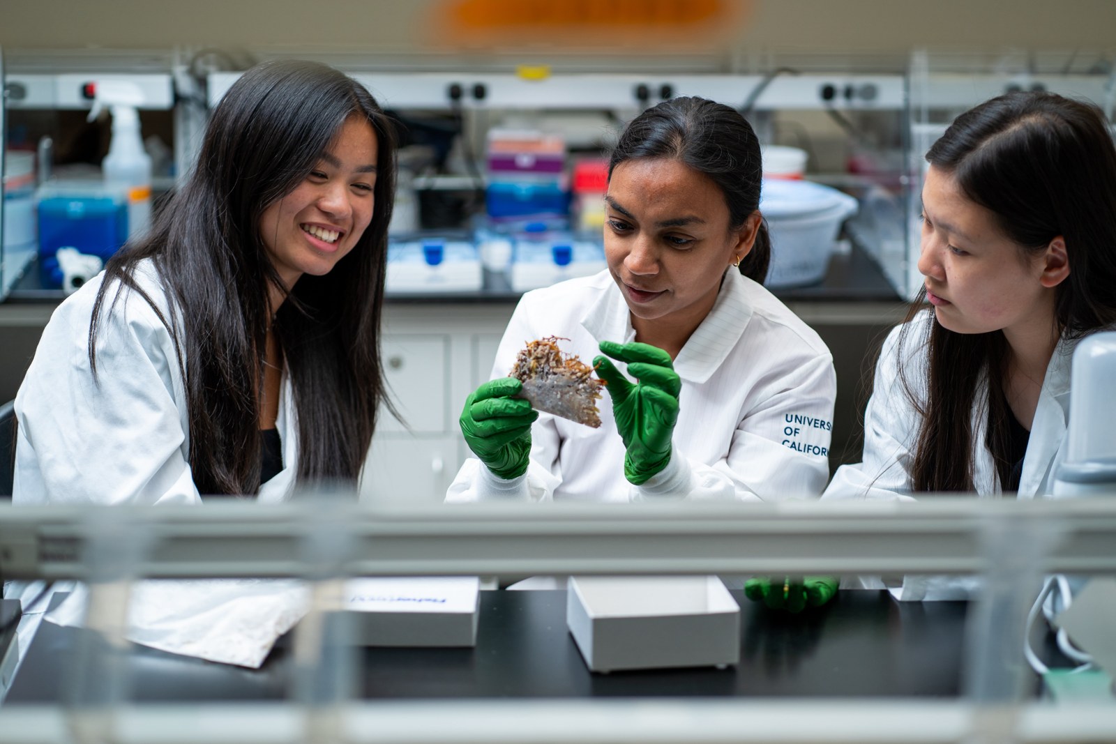Students receiving guidance in a wet laboratory