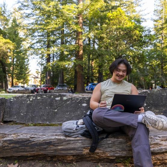 A student working with a laptop on UCSC’s wooded campus