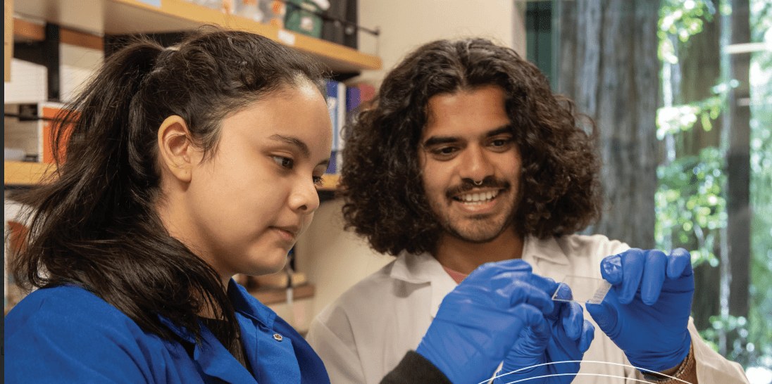 A SIP student and mentor performing laboratory work