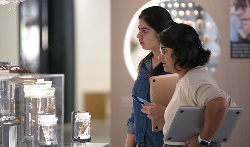 Youth & Teen students examining a museum display