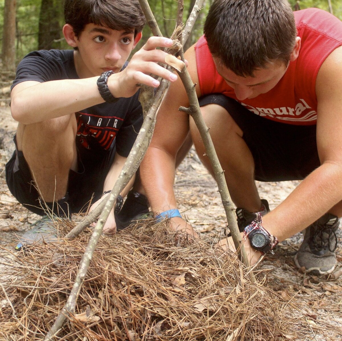 Outdoor skills: building a structure together